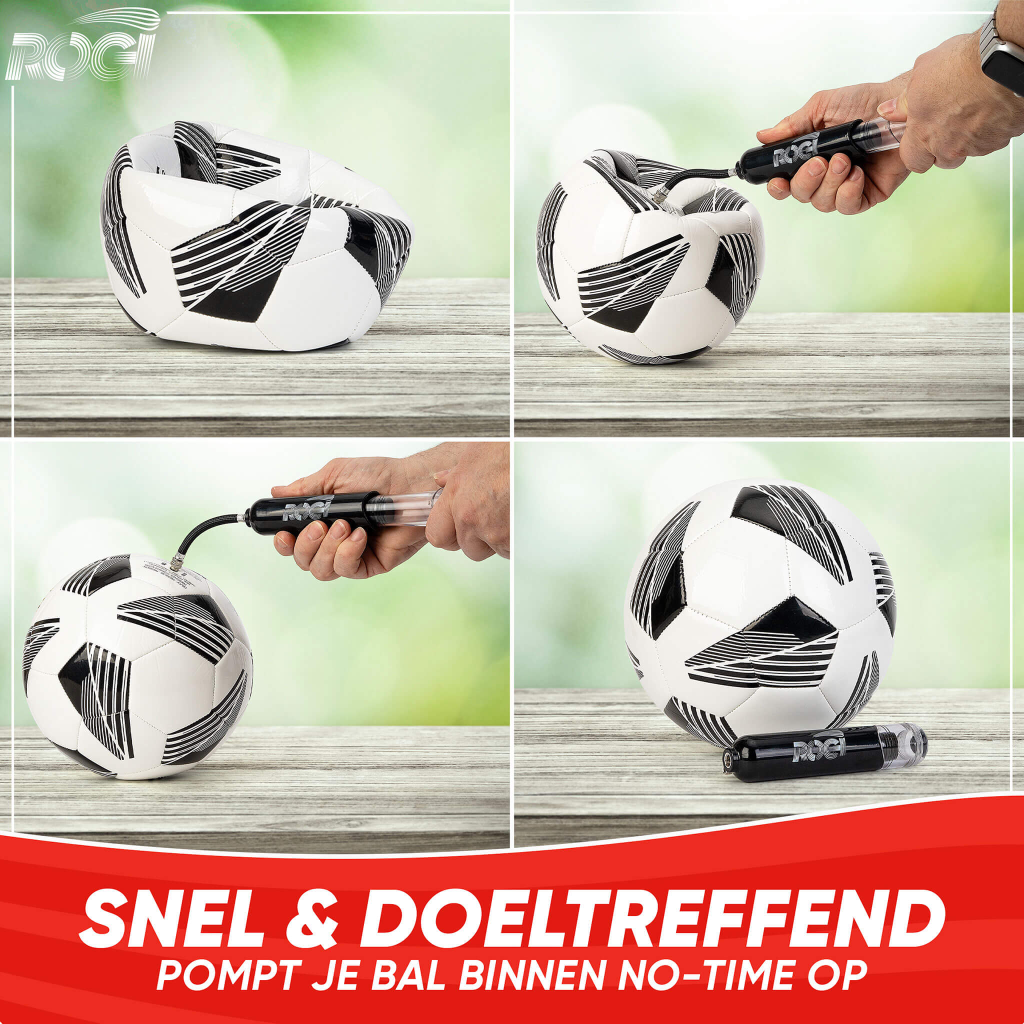 Rogi Handpomp - Double Action